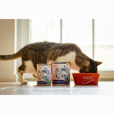 Katze Nassfutter Fisch à la Mode 200g 6 Stück -3- Anifit