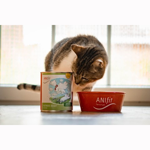 Kat Natvoer Puterichs Delight 200g 6 Stuk -6- Anifit
